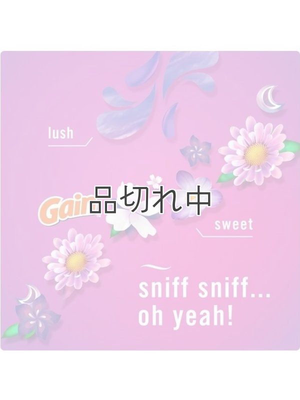 画像4: 【USファブリーズ】プラグインオイルリフィル(2セット入)：Gain ゲインムーンライトブリーズ