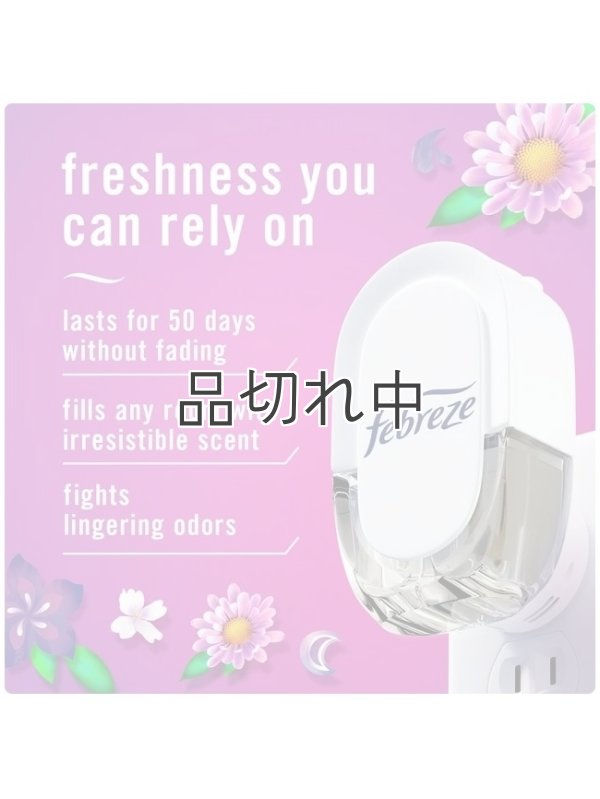 画像2: 【USファブリーズ】プラグインオイルリフィル(2セット入)：Gain ゲインムーンライトブリーズ