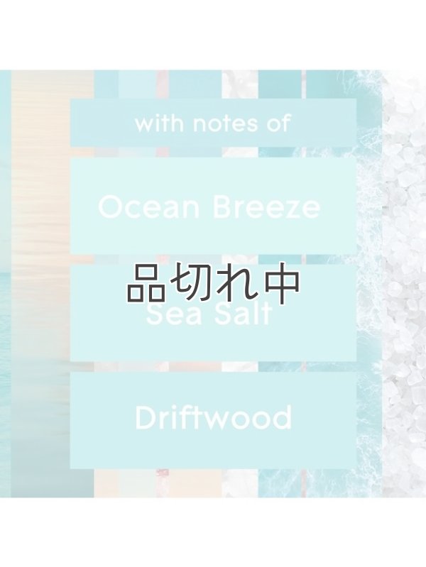 画像4: 【glade】プラグインオイルリフィル(5個入)：スカイ＆シーソルト