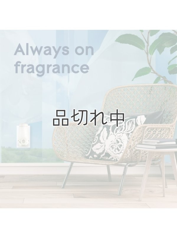 画像6: 【glade】プラグインオイルリフィル(5個入)：スカイ＆シーソルト