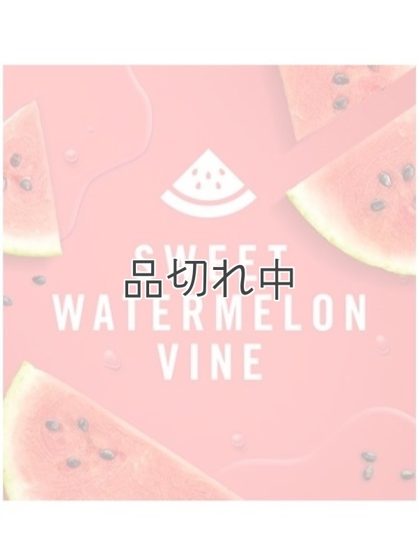 画像3: 【USファブリーズ】車用芳香剤(2個入り)：スイートウォーターメロンバイン