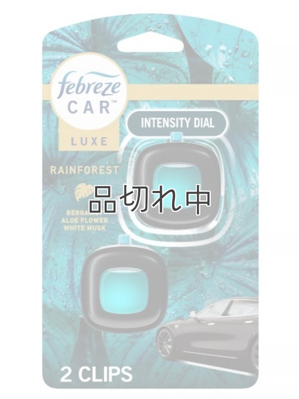 画像1: 【USファブリーズ】車用芳香剤(2個入り)：レインフォレスト