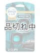 画像: 【USファブリーズ】車用芳香剤(2個入り)：レインフォレスト