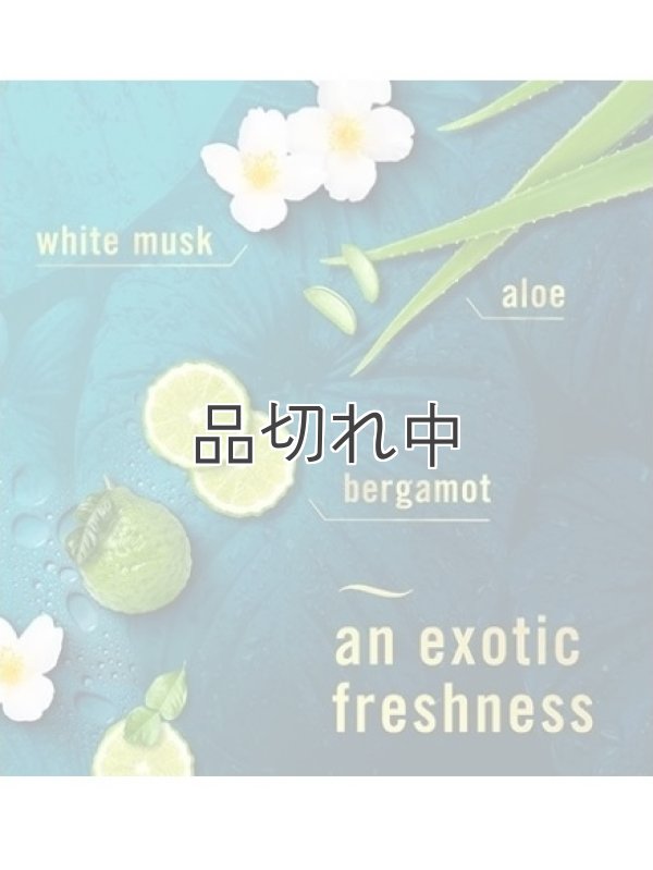 画像2: 【USファブリーズ】車用芳香剤(2個入り)：レインフォレスト