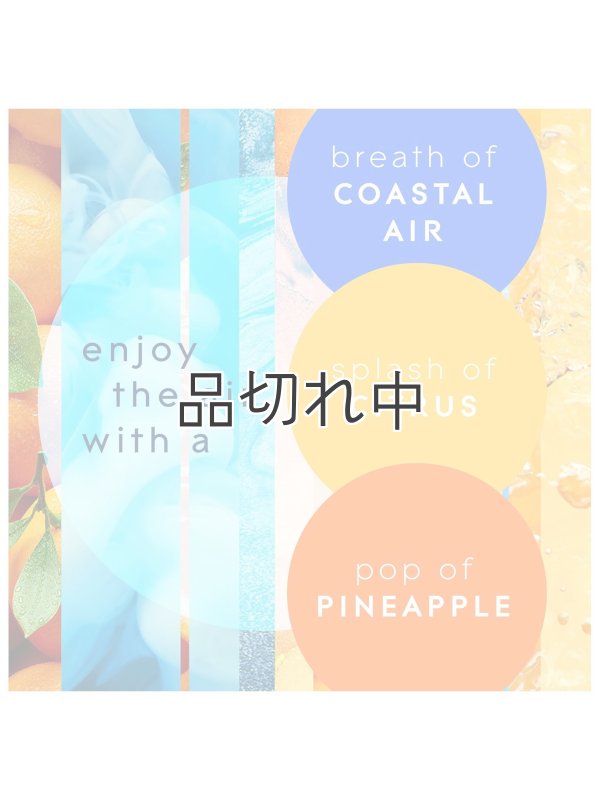 画像2: 【glade】プラグインオイル本体+リフィルセット：コースタルサンシャインシトラス