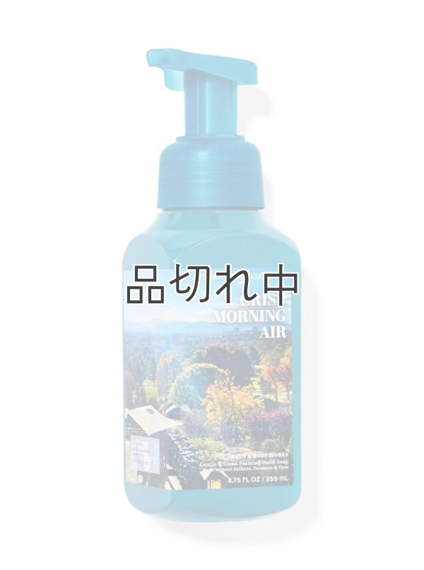 画像1: 【Bath&BodyWorks】フォーミングハンドソープ：クリスプモーニングエアー