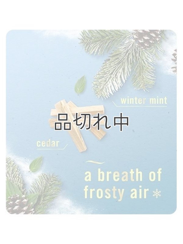 画像2: 【USファブリーズ】プラグインオイルリフィル(2セット入)：セリーンスノーフォール