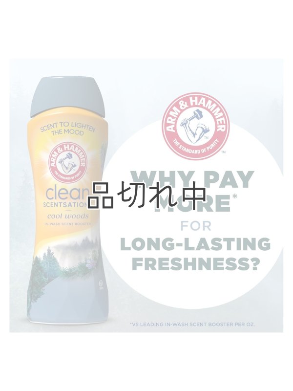 画像9: 【Arm&Hammer/アーム＆ハンマー】セントブースター(加香剤)24oz：クールウッズ