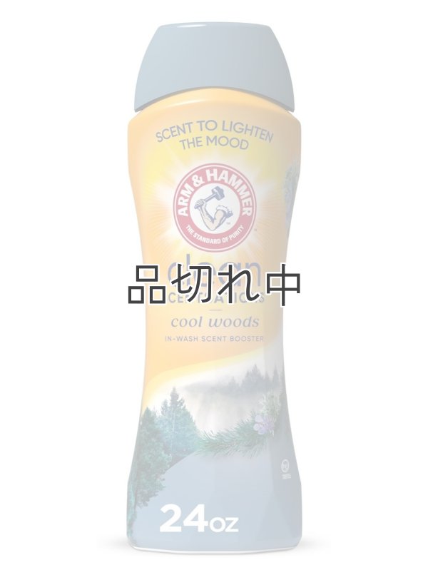 画像1: 【Arm&Hammer/アーム＆ハンマー】セントブースター(加香剤)24oz：クールウッズ