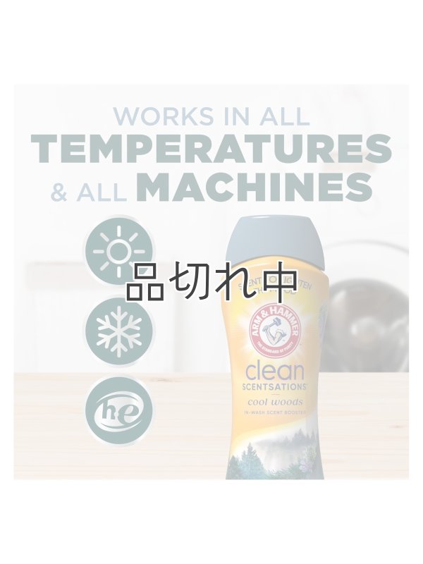 画像7: 【Arm&Hammer/アーム＆ハンマー】セントブースター(加香剤)24oz：クールウッズ