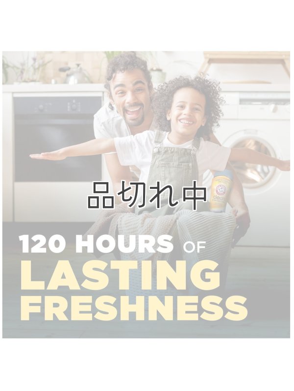 画像2: 【Arm&Hammer/アーム＆ハンマー】セントブースター(加香剤)24oz：クールウッズ