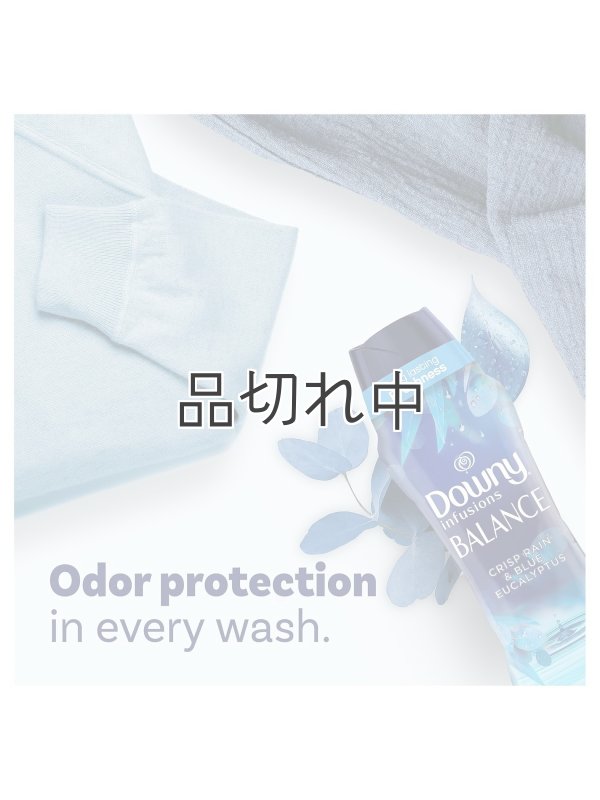 画像6: 【Downy/ダウニー】セントブースター(加香剤)13.4oz：Balance クリスプレイン＆ブルーユーカリ