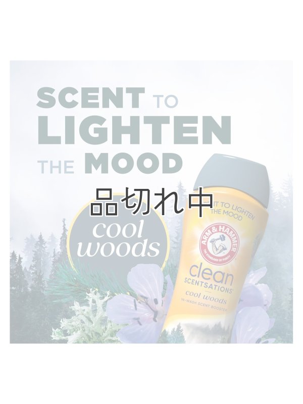 画像4: 【Arm&Hammer/アーム＆ハンマー】セントブースター(加香剤)24oz：クールウッズ