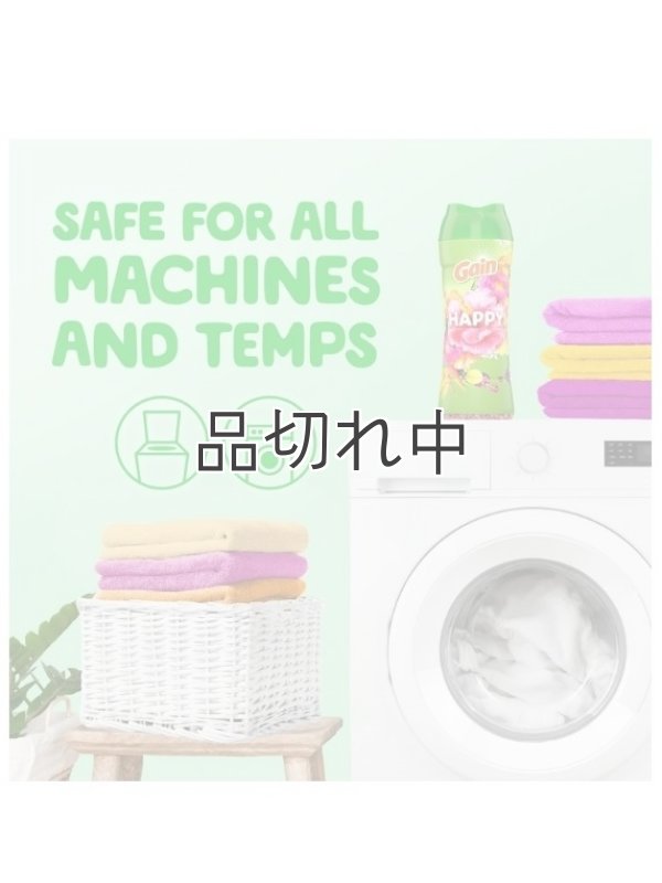 画像8: 【Gain/ゲイン】セントブースター(加香剤)12.2oz：ゲイン HAPPY ハイビスカスフラ