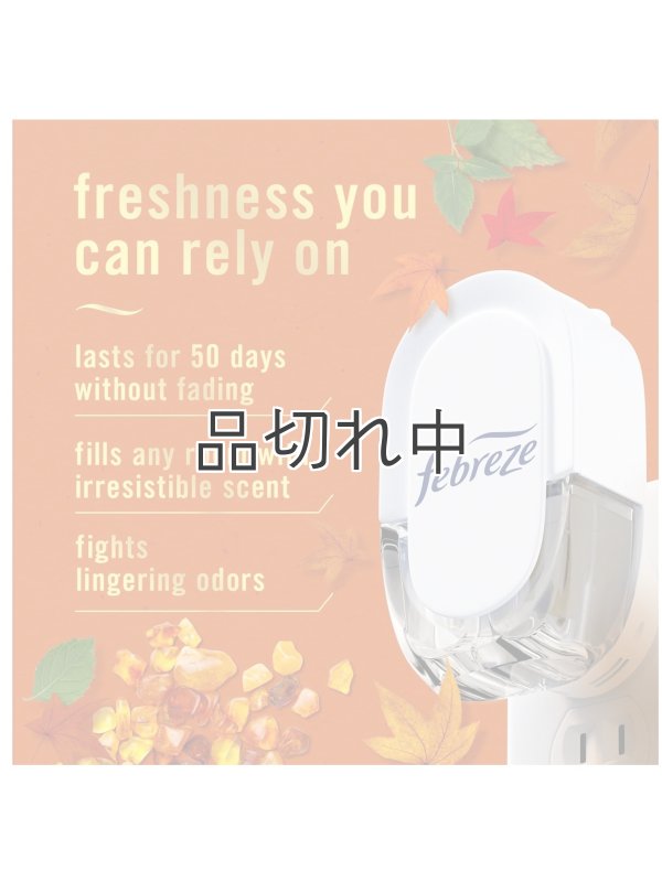 画像3: 【USファブリーズ】プラグインオイルリフィル(2セット入)：クリスプフォールブリーズ