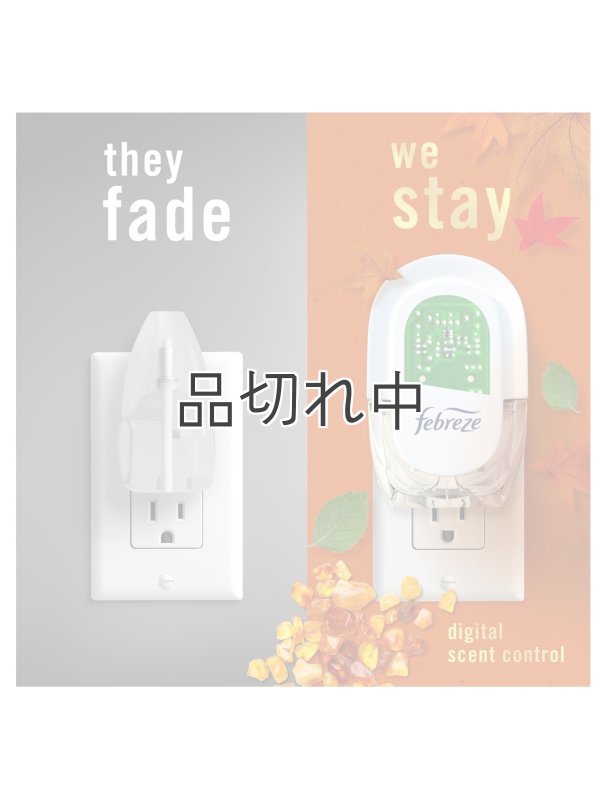 画像5: 【USファブリーズ】プラグインオイルリフィル(2セット入)：クリスプフォールブリーズ