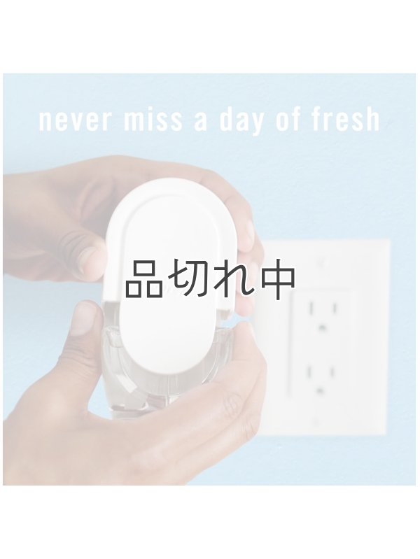 画像8: 【USファブリーズ】プラグインオイルリフィル(2セット入)：クリスプフォールブリーズ