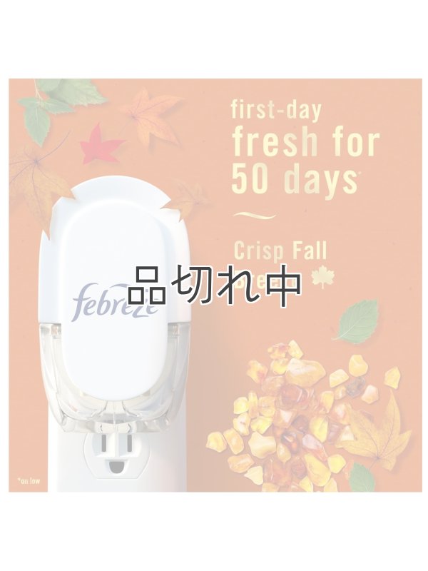 画像4: 【USファブリーズ】プラグインオイルリフィル(2セット入)：クリスプフォールブリーズ