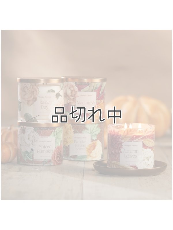 画像3: 【YANKEE CANDLE/ヤンキーキャンドル】3-wickキャンドル（14.5oz）：レイニーデイ