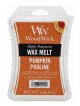 画像: 【WoodWick/ウッドウィック】ワックスメルト6P入り(3oz)：パンプキンプラリネ