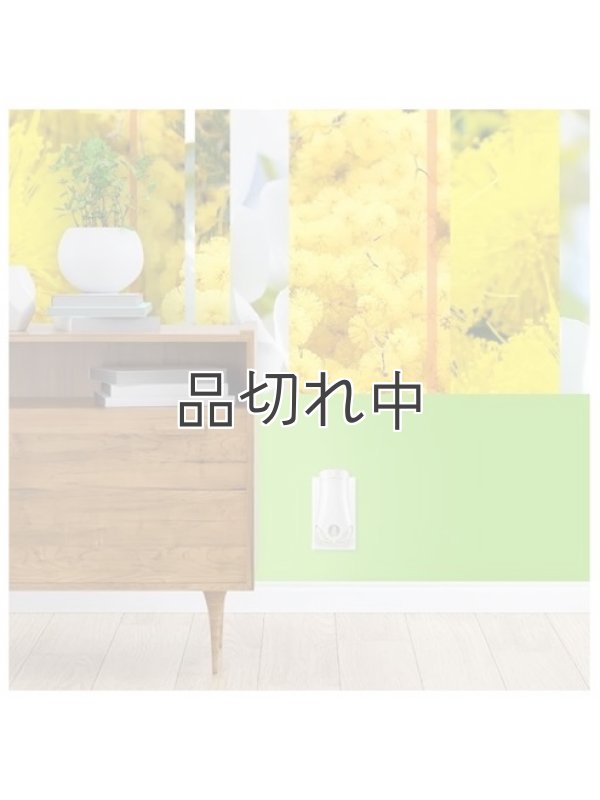 画像5: 【glade】プラグインオイルリフィル(2個入)：レイディアントブルーム