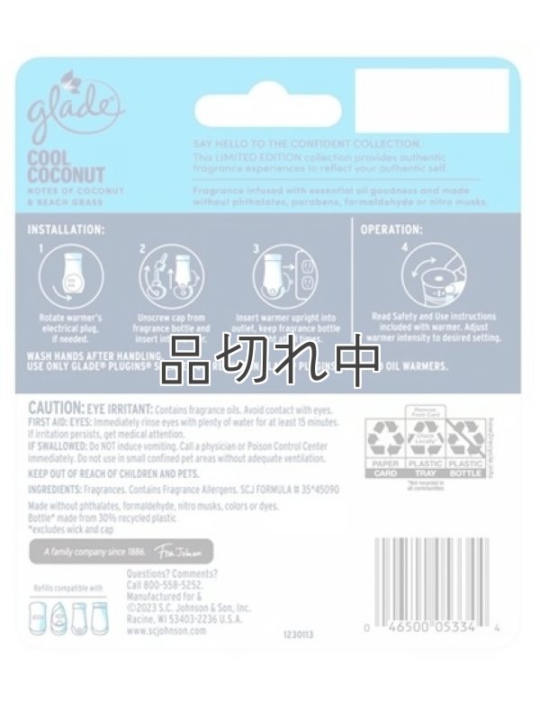 画像3: 【glade】プラグインオイルリフィル(2個入)：クールココナッツ