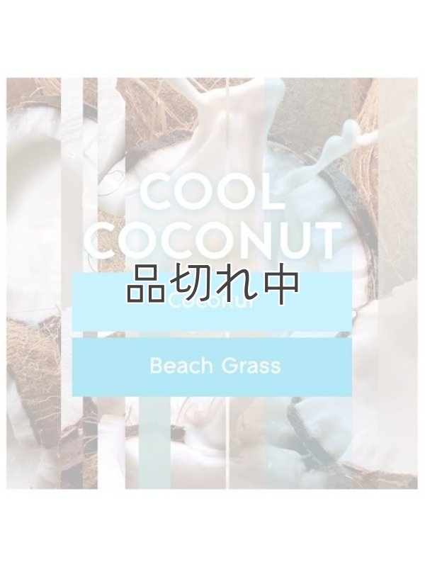 画像5: 【glade】プラグインオイルリフィル(2個入)：クールココナッツ