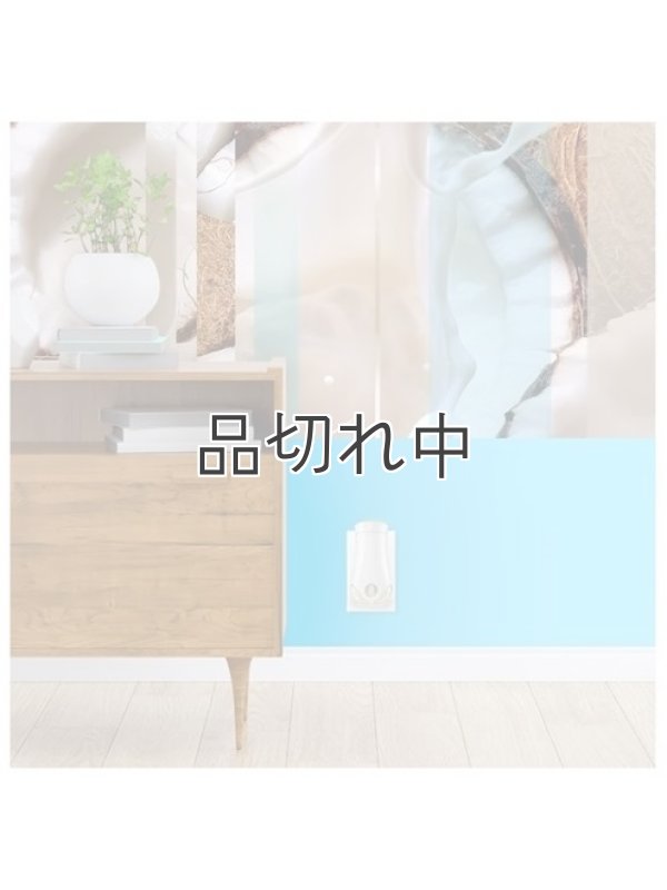 画像4: 【glade】プラグインオイルリフィル(2個入)：クールココナッツ