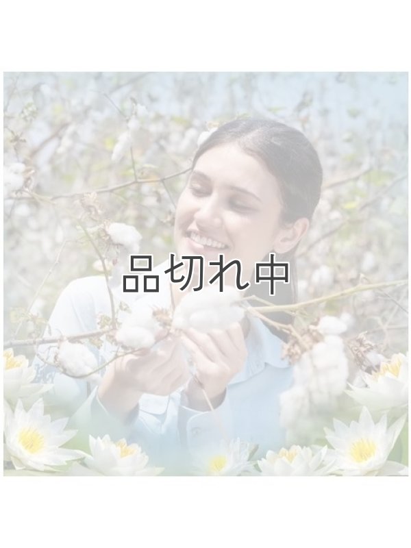 画像2: 【エアーウィック】プラグインオイルリフィル(2個入)：コットン＆ホワイトロータス