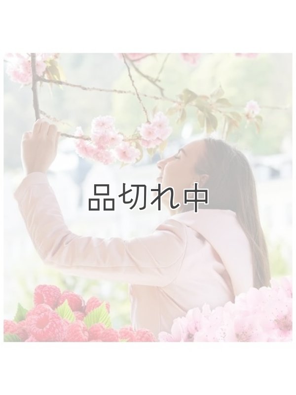 画像2: 【エアーウィック】プラグインオイルリフィル(2個入)：チェリーブロッサム＆ラズベリー