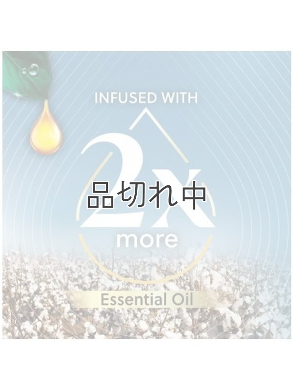 画像3: 【エアーウィック】プラグインオイルリフィル(2個入)：コットン＆ホワイトロータス