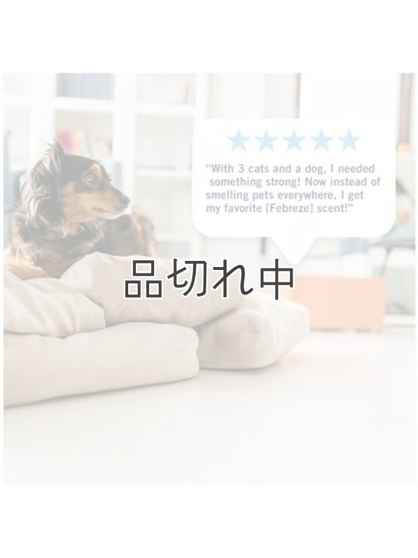 画像6: 【USファブリーズ】プラグインオイルリフィル(2セット入)：バニラスエード