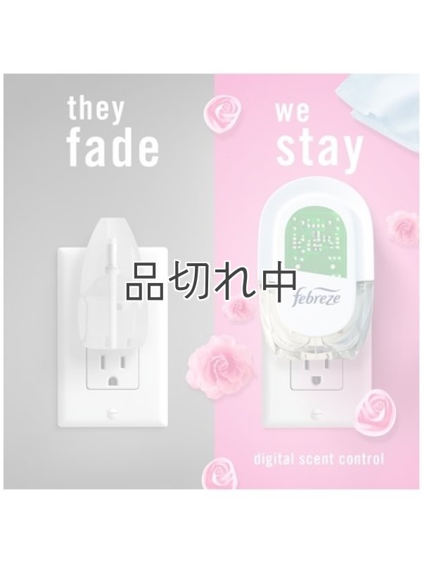 画像4: 【USファブリーズ】プラグインオイルリフィル(2セット入)：ダウニーエイプリルフレッシュ