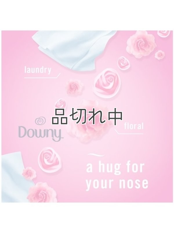 画像5: 【USファブリーズ】プラグインオイルリフィル(2セット入)：ダウニーエイプリルフレッシュ