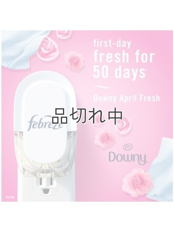 画像3: 【USファブリーズ】プラグインオイルリフィル(2セット入)：ダウニーエイプリルフレッシュ