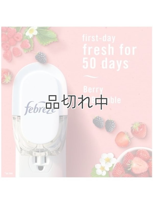 画像4: 【USファブリーズ】プラグインオイルリフィル(2セット入)：ベリー＆ブランブル