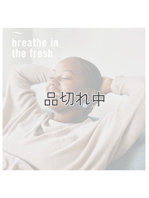 画像7: 【USファブリーズ】プラグインオイルリフィル(2セット入)：ダウニーエイプリルフレッシュ