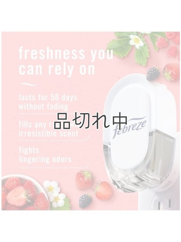 画像3: 【USファブリーズ】プラグインオイルリフィル(2セット入)：ベリー＆ブランブル