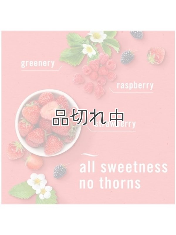 画像2: 【USファブリーズ】プラグインオイルリフィル(2セット入)：ベリー＆ブランブル