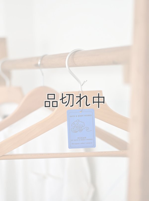 画像2: 【Bath&BodyWorks】ハンギングフレグランスディフューザー(吊り下げ)：オーシャン