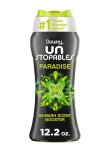 画像1: 【Downy/ダウニー】セントブースター(加香剤)12.2oz：Unstopables Paradise (パラダイス)