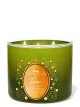 画像: 【Bath&BodyWorks】《Disney Princessコラボ》3-wickキャンドル（14.5oz）：Tiana (ティアナ)