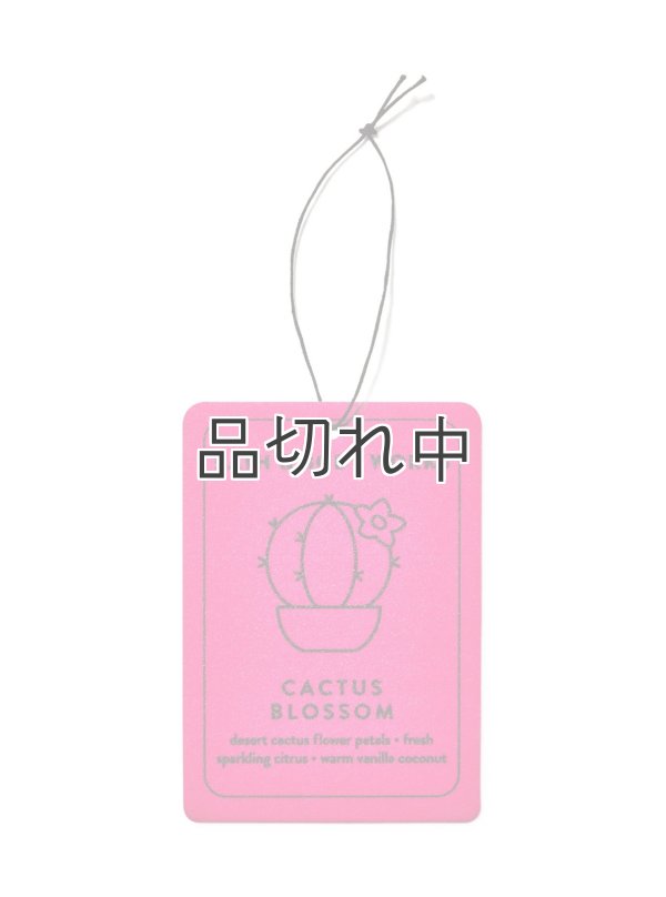 画像1: 【Bath&BodyWorks】ハンギングフレグランスディフューザー(吊り下げ)：カクタスブロッサム