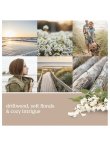 画像3: 【YANKEE CANDLE/ヤンキーキャンドル】2-wickキャンドル（13oz）：シーサイドウッズ