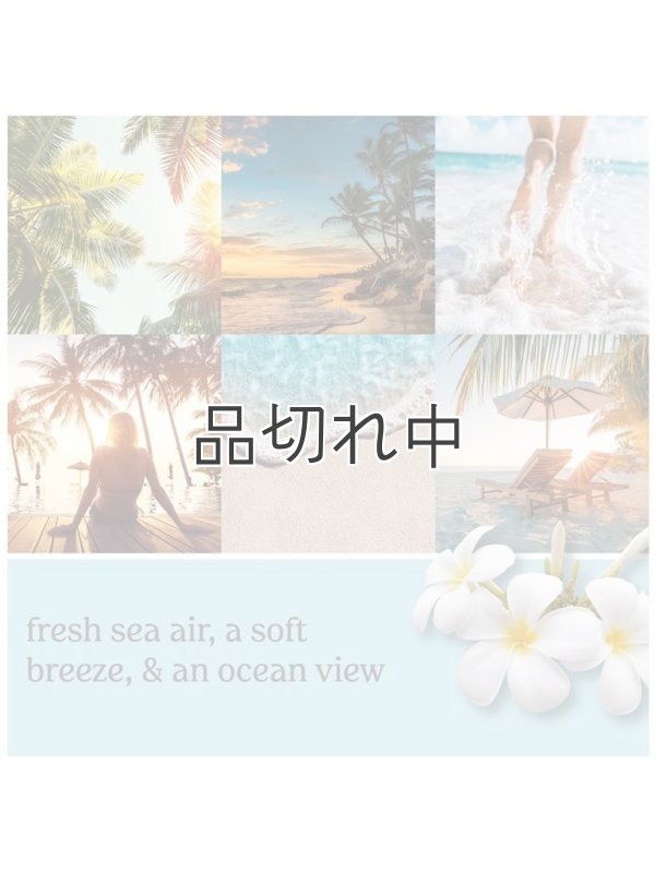 画像3: 【YANKEE CANDLE/ヤンキーキャンドル】2-wickキャンドル（13oz）：ビーチエスケープ