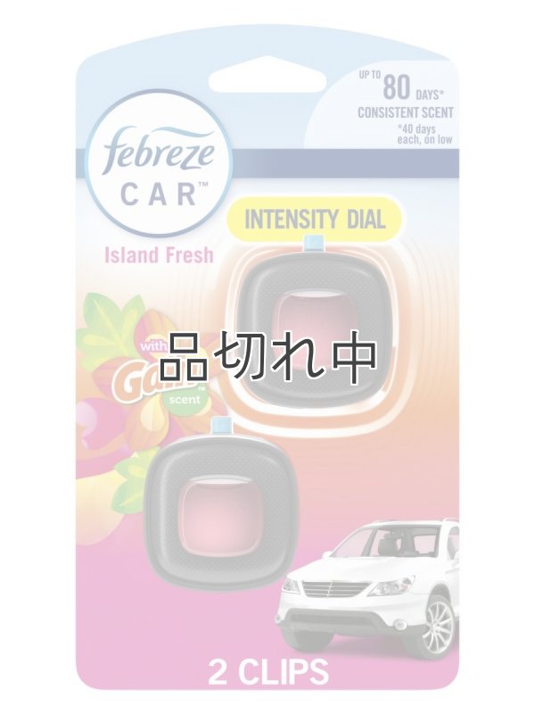 画像1: 【USファブリーズ】車用芳香剤(2個入り)：GAIN ゲインアイランドフレッシュ