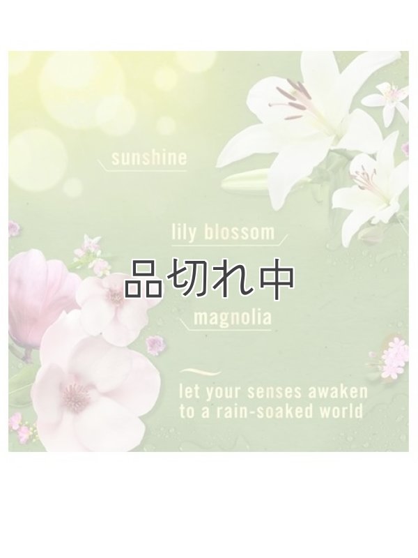 画像4: 【USファブリーズ】プラグインオイルリフィル(2セット入)：モーニングスプリングシャワー