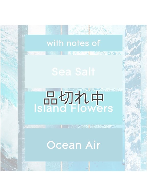 画像5: 【glade】プラグインオイル本体+リフィル1個セット：アクアウェーブ