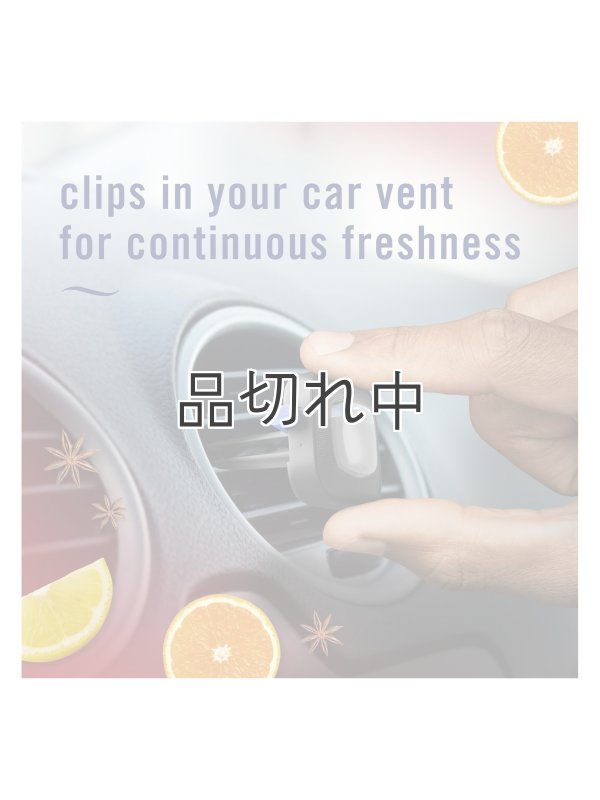 画像5: 【USファブリーズ】車用芳香剤(2個入り)：オールドスパイス