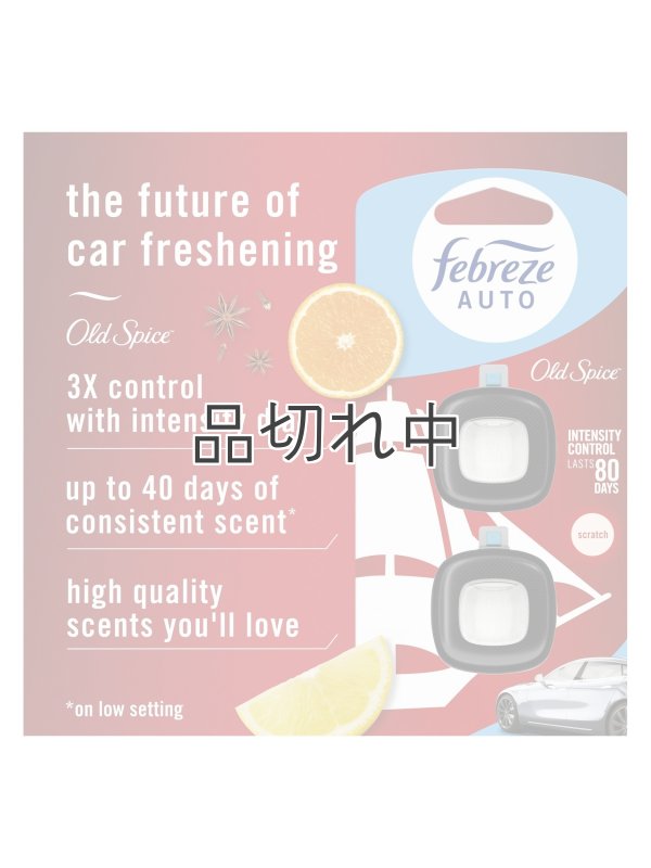 画像2: 【USファブリーズ】車用芳香剤(2個入り)：オールドスパイス